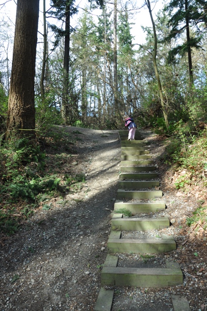 Shorewood Park Trail