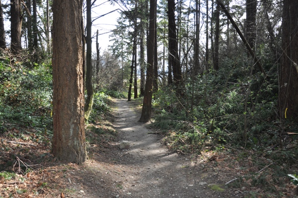 Shorewood Park Trail