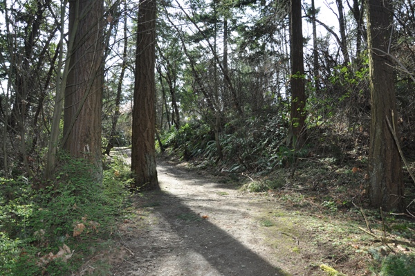 Shorewood Park Trail