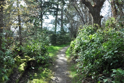 Shorewood Park Trail