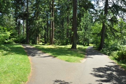 Spanaway trail