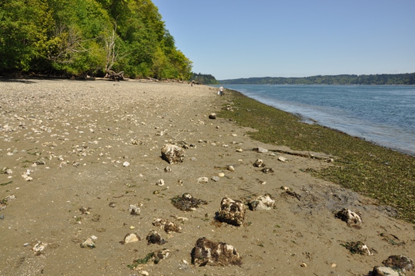 sunrise beach county park