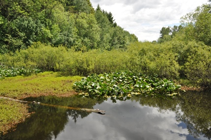 Snake Lake 