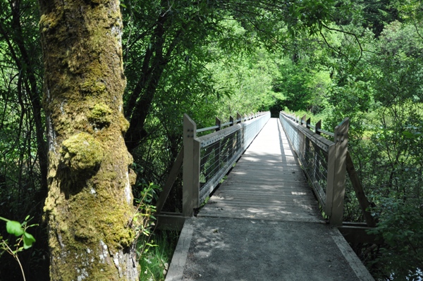 Tacoma Nature Center