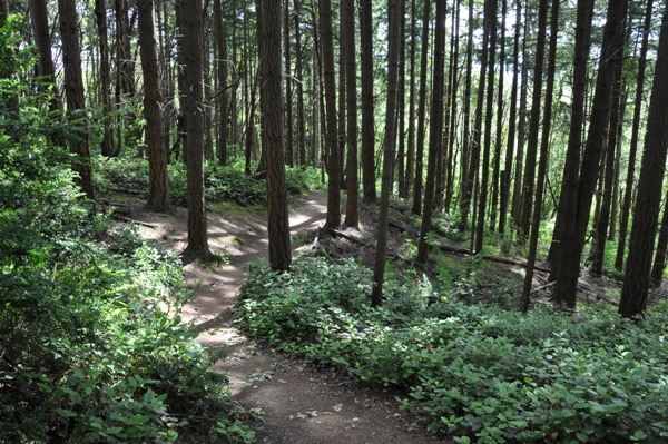 Tacoma Nature Center