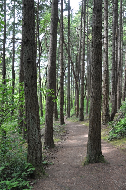 Tacoma Nature Center