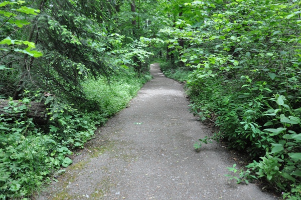 tukwila park trail