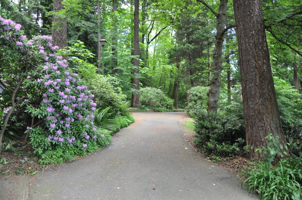 tukwila park