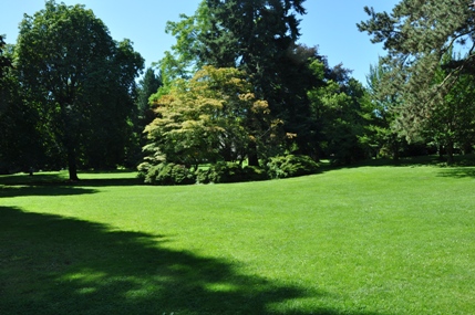 Volunteer Park