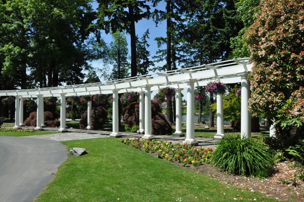 Pergola 