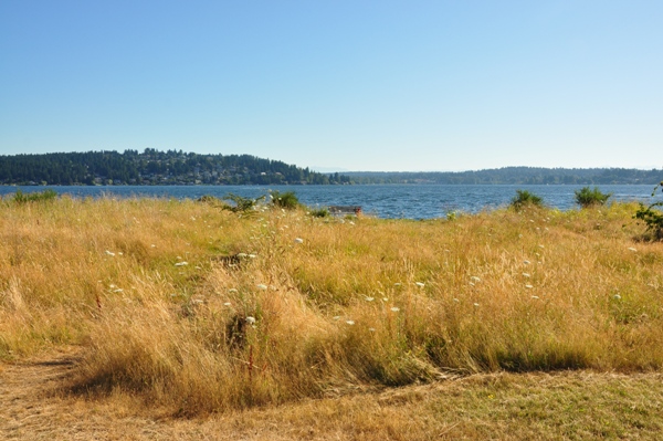 lake washington