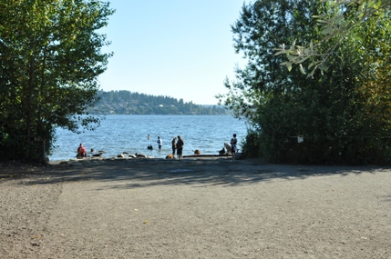 Dog Off Leash Beach