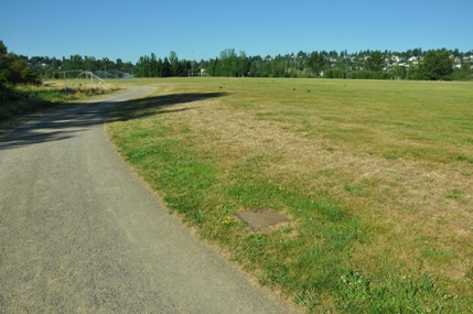 magnuson ballfields