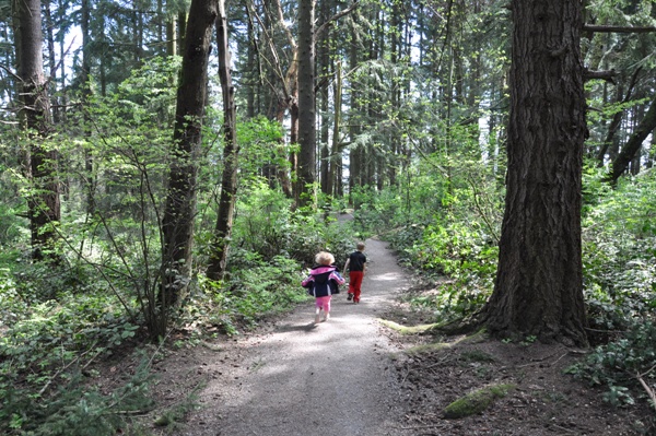 Douglas-Fir Trail