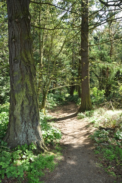 westcrest park trails