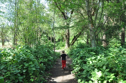 westcrest park trails