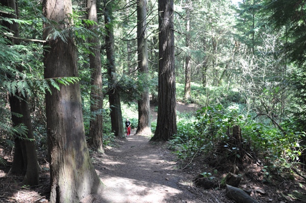 westcrest park trails