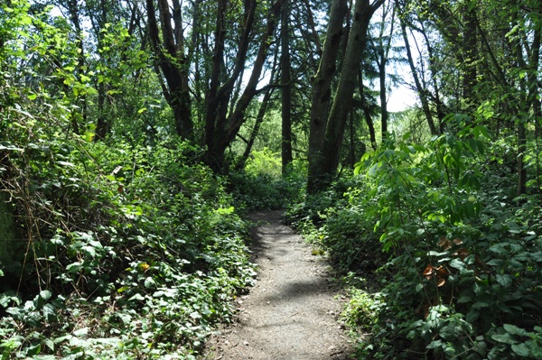 westcrest park trails