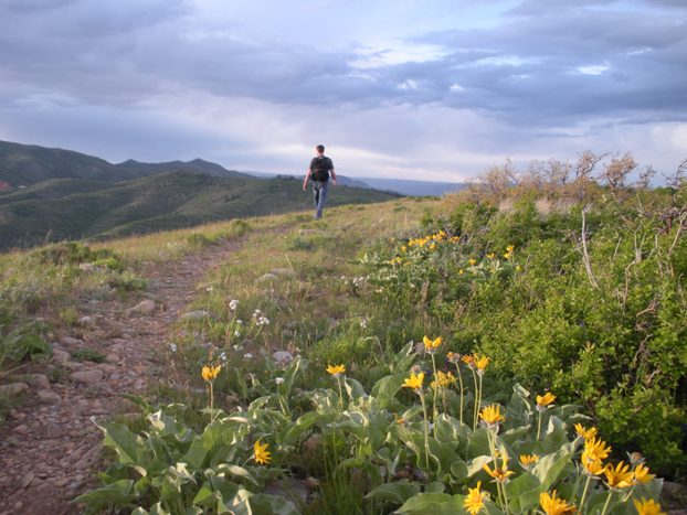 Flowers along the trail