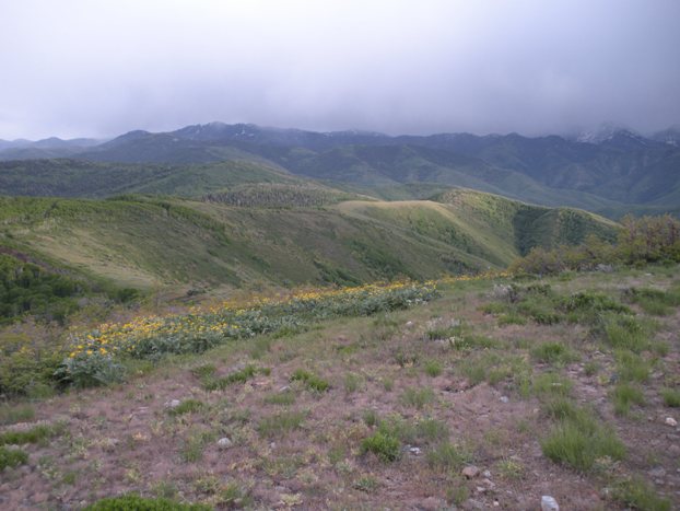 Wasatch Mountains