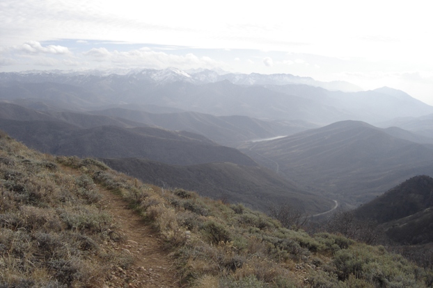 Cottonwood Canyon Peaks