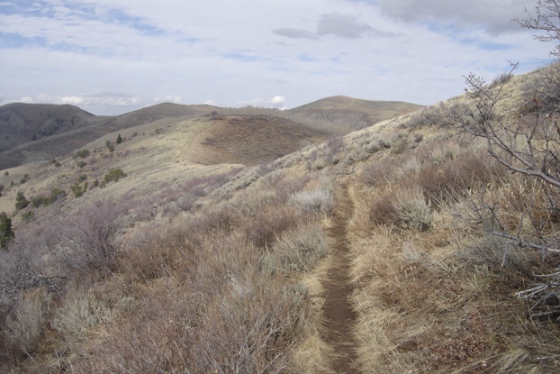 On the ridge, Big Mountain