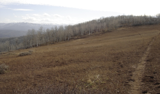 Big Mountain