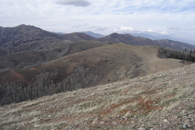 wasatch-hiking-trails.jpg