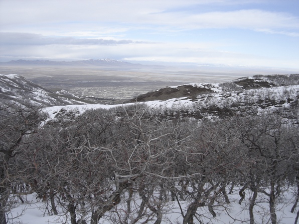 Antelope Island