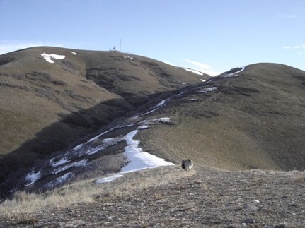 Utah hiking trails