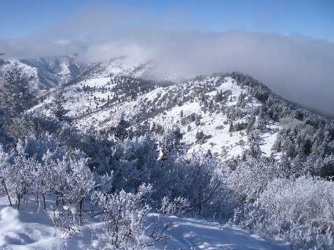 Lambs Canyon North Peak in distance 