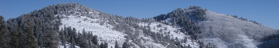 Summit Park Peak from Lambs Canyon