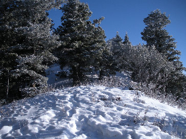 Lambs Canyon winter snowshoe