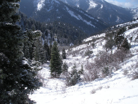 Looking down the exit canyon