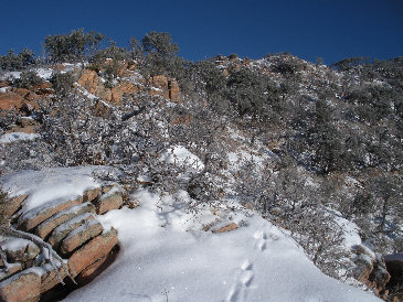 Lambs Canyon winter snowshoe