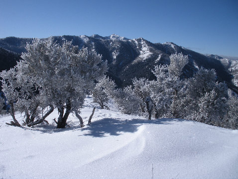 Looking south to Millvue Ridge Peaks