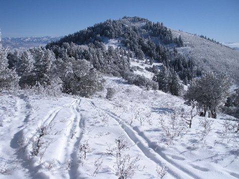 Summit Park Peak with snowshoe and ski trails 
