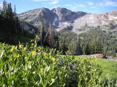 Little Cottonwood Canyon