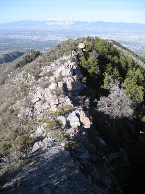 ridge on little black 