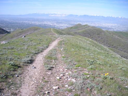 Salt Lake trail