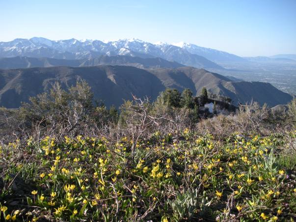 Salt Lake Valley view