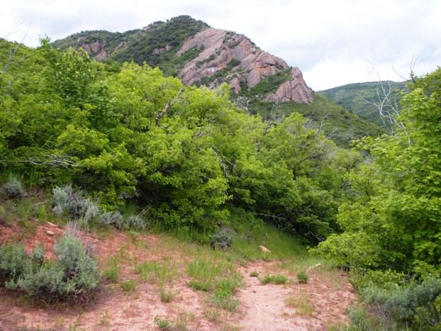 Cliffs above Affleck Park