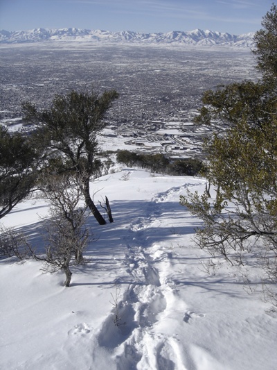 snowshoeing