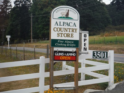 Alpaca Farm