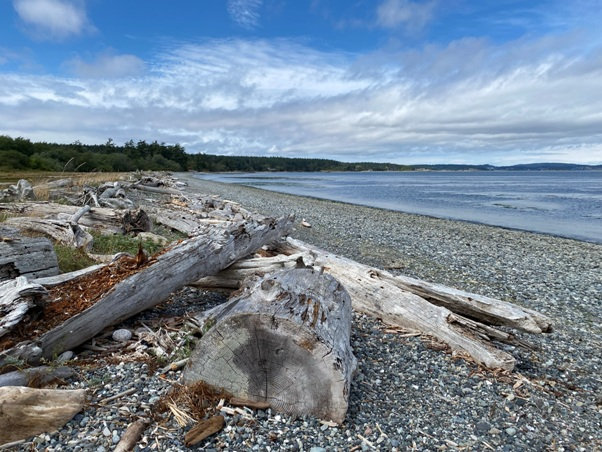 Fourth of July Beach