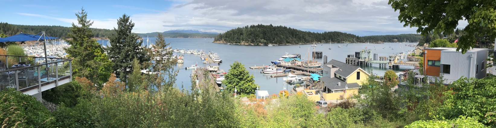 friday harbor