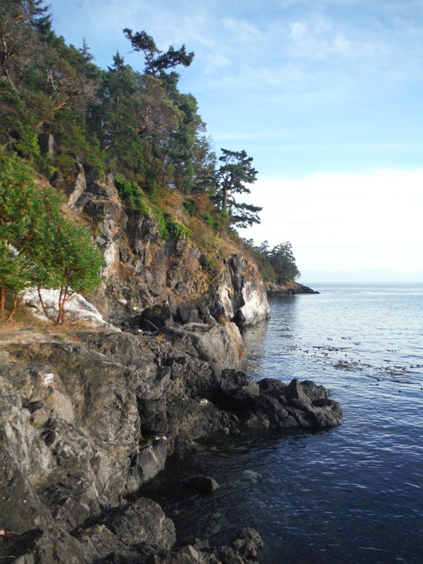 lime kiln point state park