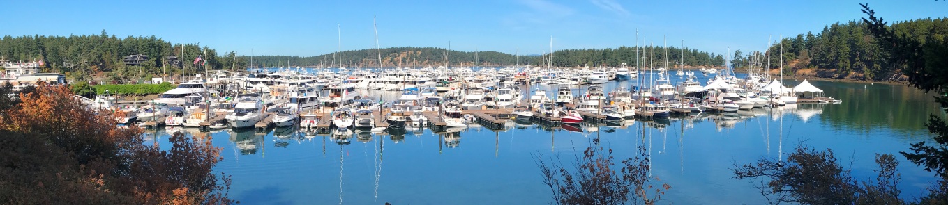 roche harbor