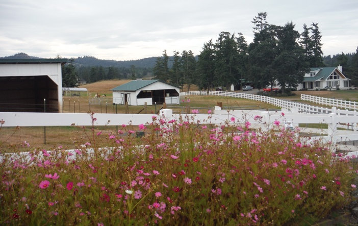 Alpaca Farm