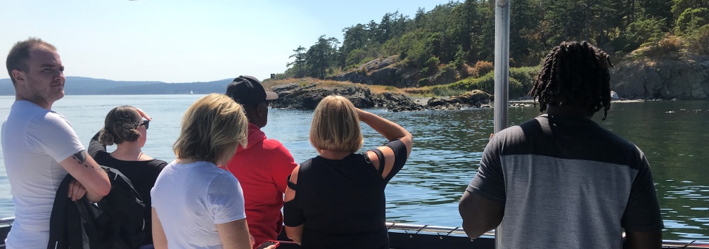 Whale watching 